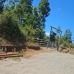 Cabanas Altos De Huifco Cercana A Valdivia