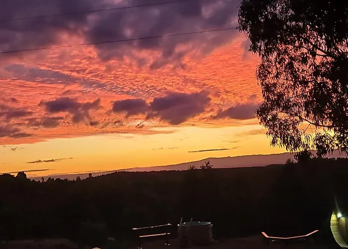 Cabanas Altos De Huifco Cercana A Valdivia