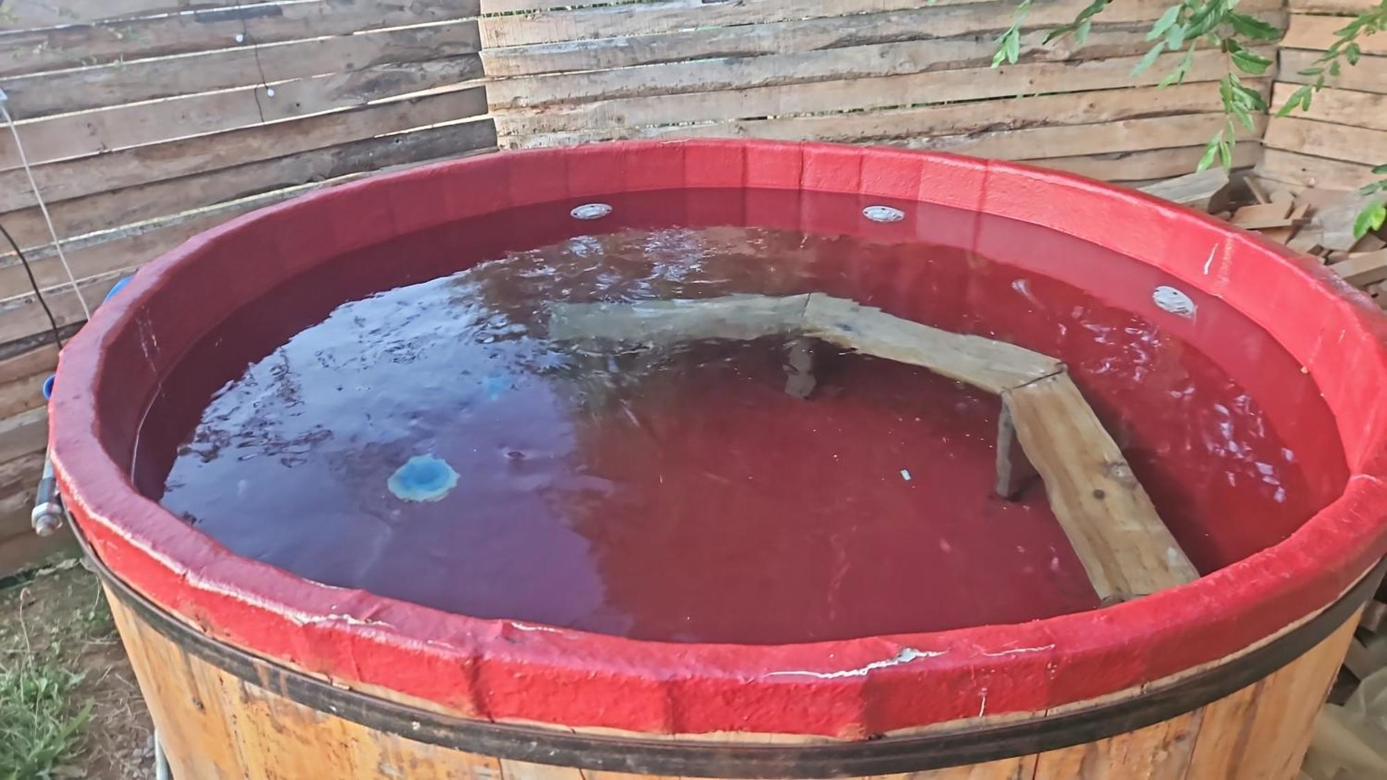Altos De Huifco Cercana A Valdivia Casa de férias San José de la Mariquina